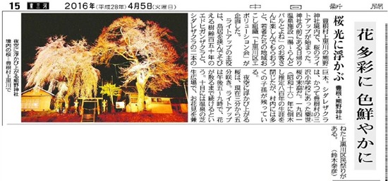 熊野神社桜ライトアップ新聞記事