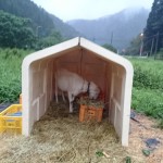 同窓会一夜明けて台風