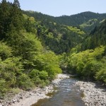 近所の化石山探検