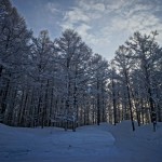 同期北海道スキー4日目(最終日)