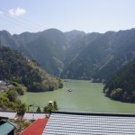 熊野神社桜ライトアップ