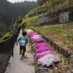 子どもたちと裏山大冒険