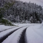 大雪大災害対応1日目