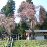 豊根村　上黒川熊野神社　春季大祭