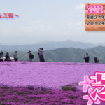 茶臼山高原芝桜祭初日