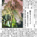 熊野神社春季例祭と花見