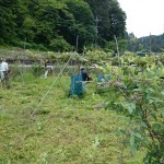 仕事で草刈三昧から宿直