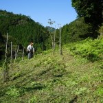 上黒川エボ桜植樹＆草刈り整備