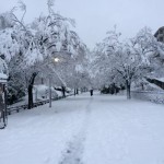 ところ変わって雪景色