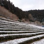 降雪の中で息子たちはスキー教室へ