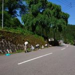 村内一斉美化活動からエボリューション草刈り桜植樹