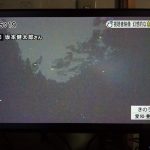 東海テレビでホタル動画