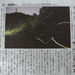 ホタルの光はまだ続き中日新聞へ