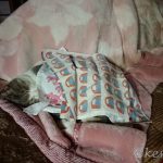 これはきっと娘さんの仕業